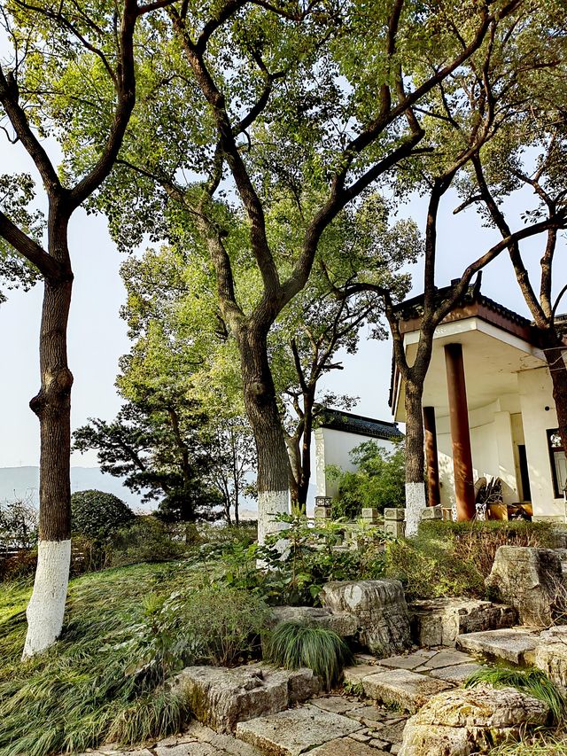 湖州長田漾濕地公園，田園風光+濕地風貌