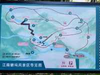 上海直達2h帶上毛孩子一起去莫干山踏青