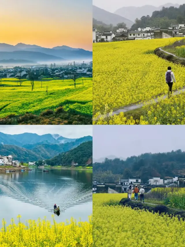 婺源花已開這條本地人都說地道的玩法