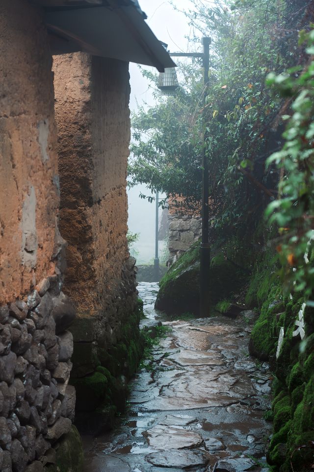 雲和梯田坑根石寨，一個隱藏的世外桃源