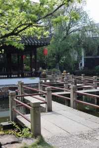 芳菲四月的曾趙園