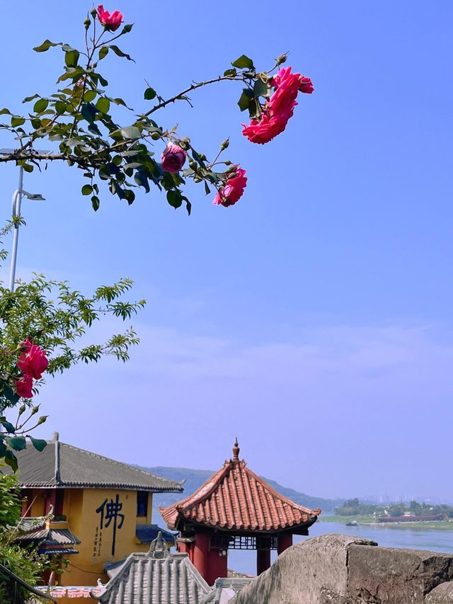泸州琥珀寺——江邊寺廟