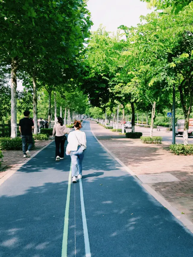 A great place in Chongqing for walking dogs with kids is the Jinhaiwan Riverside Park