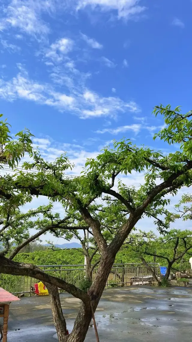 周末徒步合川釣魚城，感受不一樣的歷史文化景點