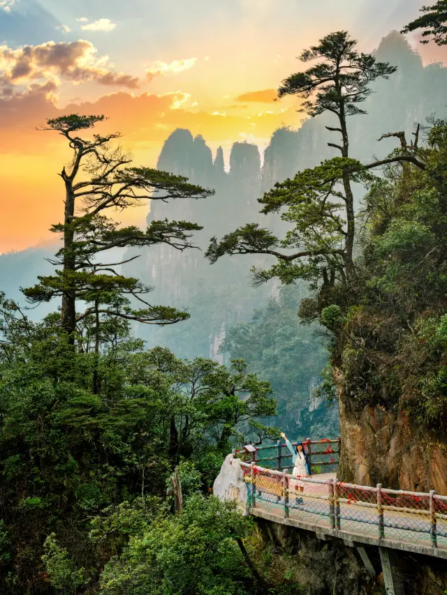 Direct elevator to watch the sea of clouds at sunrise! I absolutely love this mountain in Hunan that doesn't require climbing