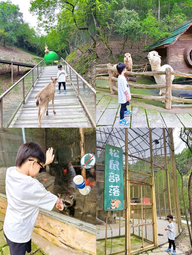 從武漢出發2小時直達「森林溫泉遛娃小鎮」人少沖！五一沖！