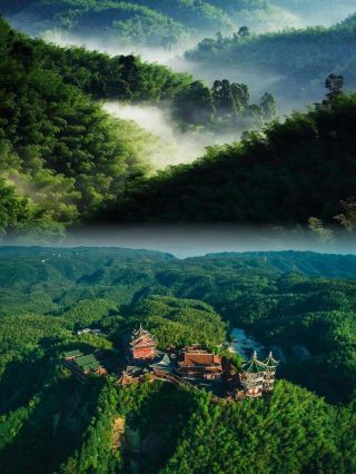 National Geographic didn’t lie to me about this beautiful forest accessible by high-speed rail.