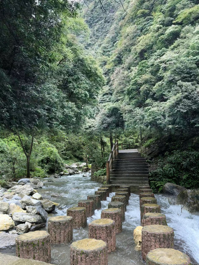 金佛山—重慶被嚴重低估的5A景區