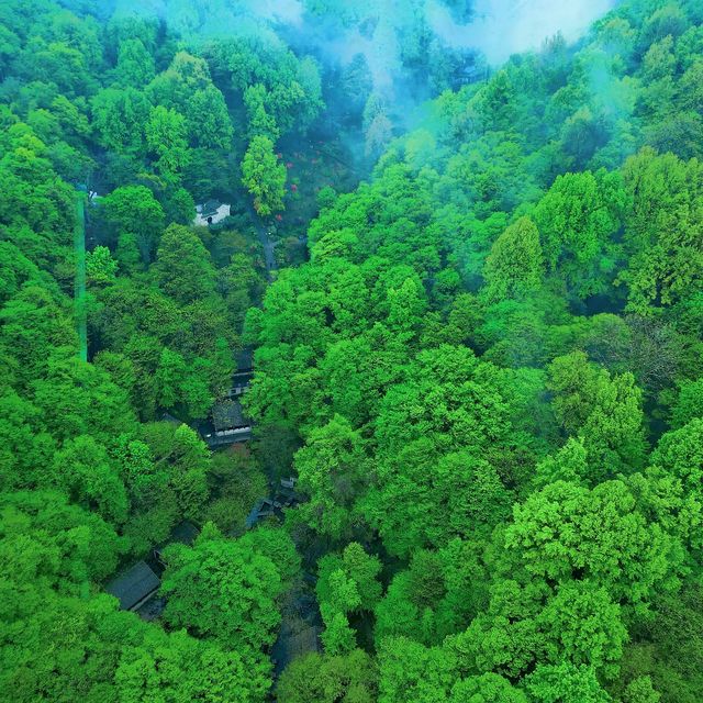 比起婺源，我更愛這個皖南的小眾森林秘境|||高鐵直達！
