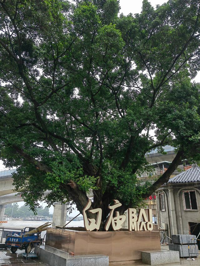 雨中徒步北江小三峡，白庙到飛來寺