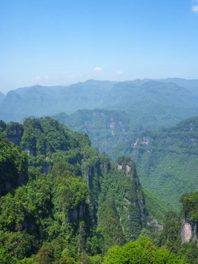 In May, Sichuan has drowned me in a millennia-old sea of azaleas~