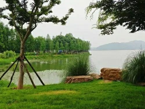 九曲橋美景，東湖落雁島的攝影天堂