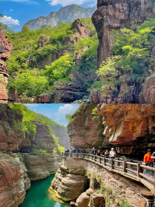 Hurry up and capture the moment, or the trip to Yuntai Mountain will truly be in vain
