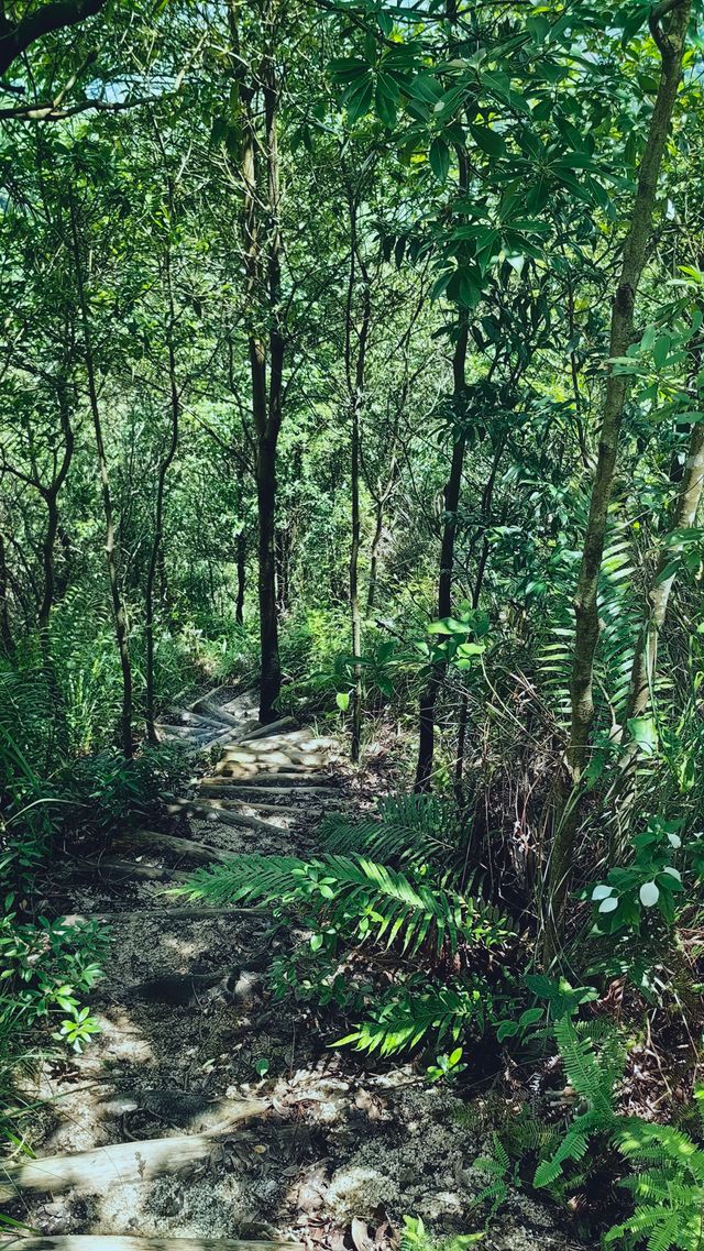銀湖山郊野公園徒步