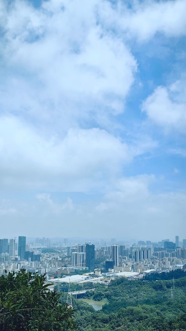 銀湖山郊野公園徒步