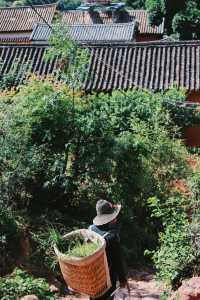 大理諾鄧古村 千年白族村
