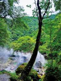 成都周邊2h，看猴子耍水輕徒步好去處