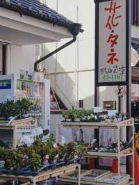 日本成田｜轉機半日遊