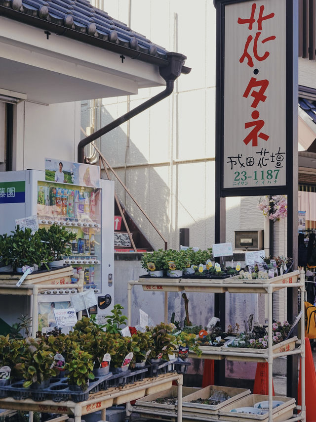 日本成田｜轉機半日遊