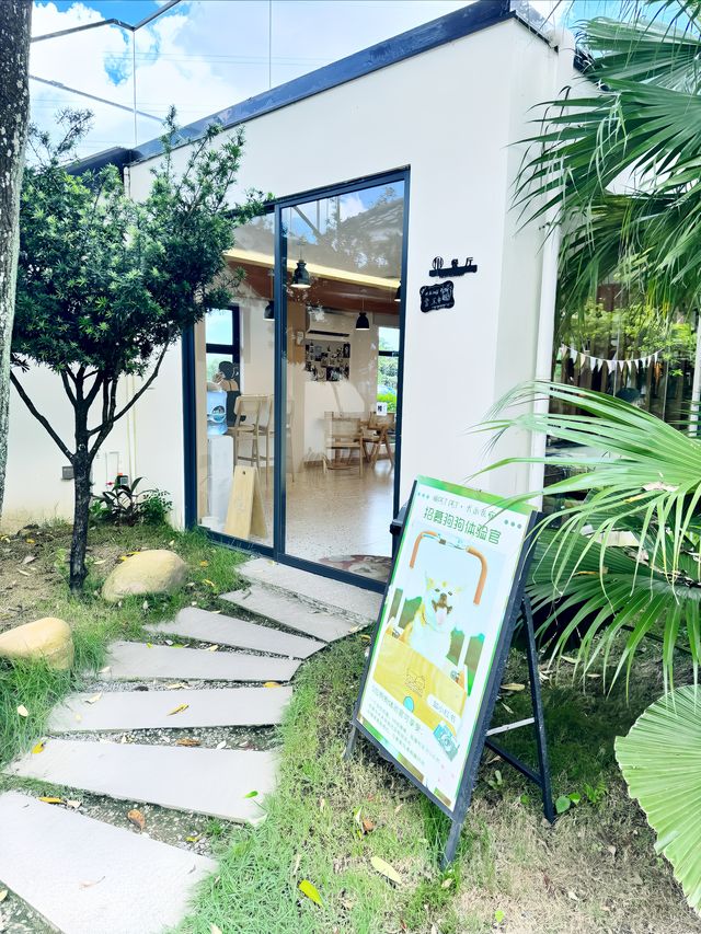 邂逅犬禾 | 民宿咖啡與稻田的絕美篇章