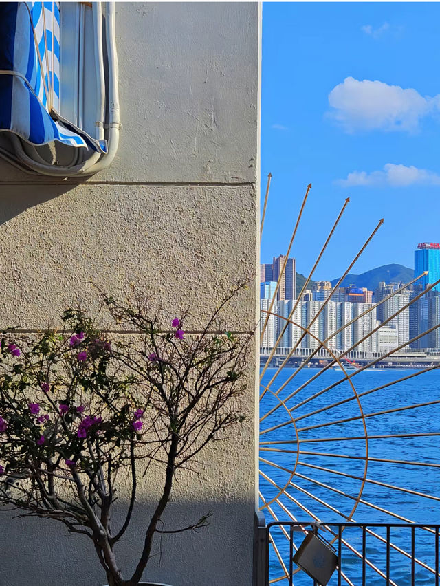 【香港紅磡一日遊】紅鸞道至尖沙咀：維港美景，落日飛車