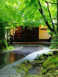 🌸 Serene Kumamoto Stay: Yamamizuki's Onsen Escape 🌿