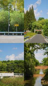 這真不是日本！是上海浦江郊野公園