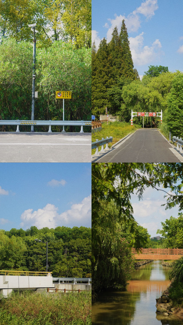 這真不是日本！是上海浦江郊野公園