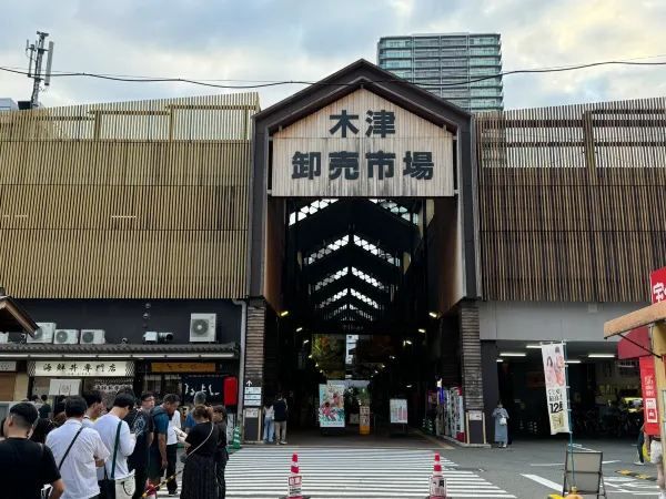 日本市場早起攻略！🌅🍣