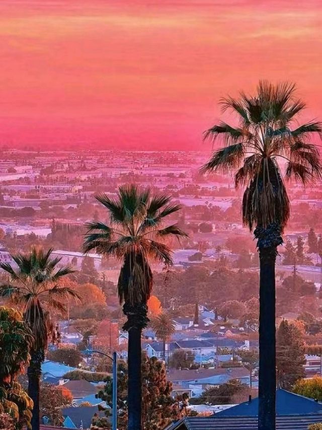 I love to go to California to watch the sunset ✨❤️