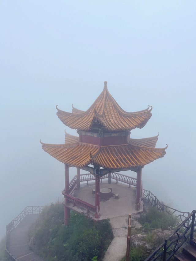 廣東周邊遊|天然氧吧好去處！。