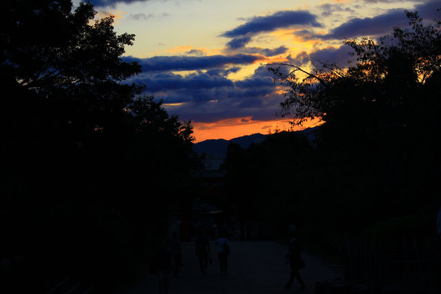 京都東山隱世路線｜高台寺及大雲院。