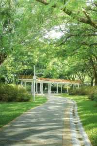 總有一次在公園相遇吧，我怕我會愛上這裡。