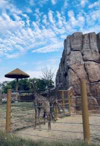 武漢動物園遊玩攻略。