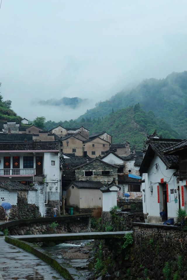 金華山下鮑村 | 世間桃花源，界外烏托邦。