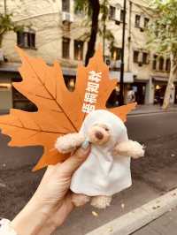 武康路最美露台咖啡館，南瓜節氣氛提前濃厚起來。