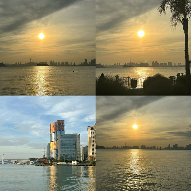 秋日逛公園||海灣公園||從不讓人失望。
