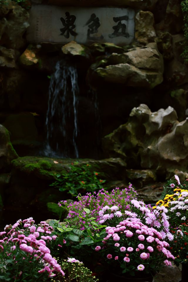 又到了醉白池最美的季節。 又到了醉白池最美的季節。