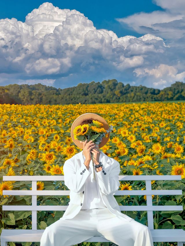 這是秋天太陽的偏愛蘇州驚現向日葵花海。