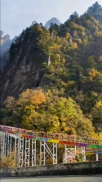 南陽老界嶺，高山之巔的夢幻之旅！。