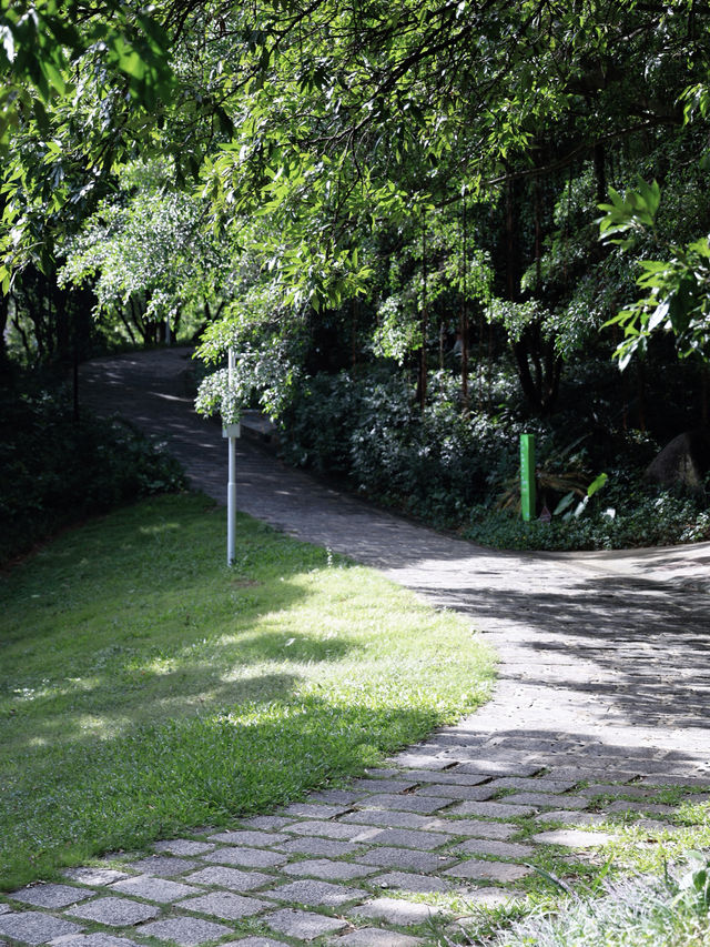 不是，巴塞羅那的奎爾公園竟出現在深圳？。