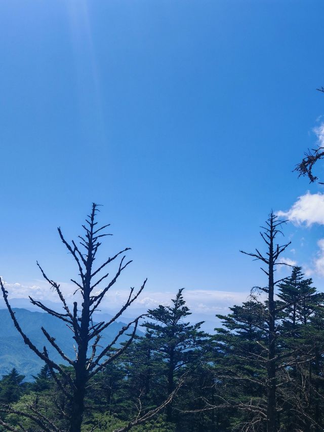 峨眉山5日遊 玩轉全山不重樣。