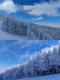 張家口崇禮滑雪攻略‖打卡避坑指南。