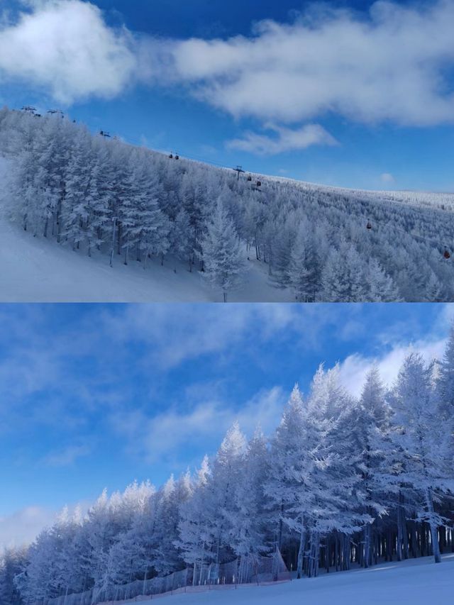 張家口崇禮滑雪攻略‖打卡避坑指南。