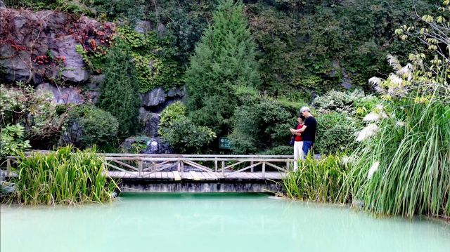 上海小九寨溝~~吳淞炮台灣國家濕地公園。