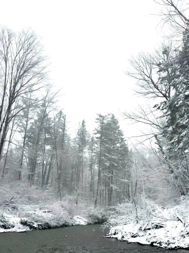 The photo opportunities in Changbai Mountain in winter are off the charts. 