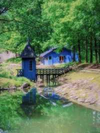 Discover a Fairytale World Near Tokyo This Autumn