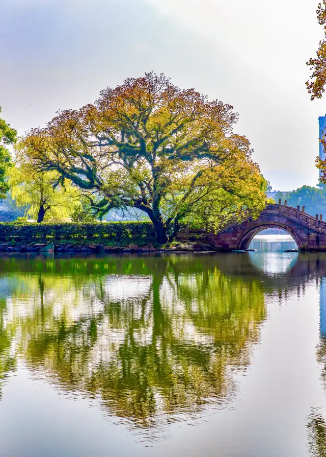 臨海｜東湖公園｜美しい江南庭園｜臨海で写真スポット