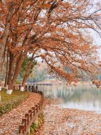 南京旅遊住宿攻略