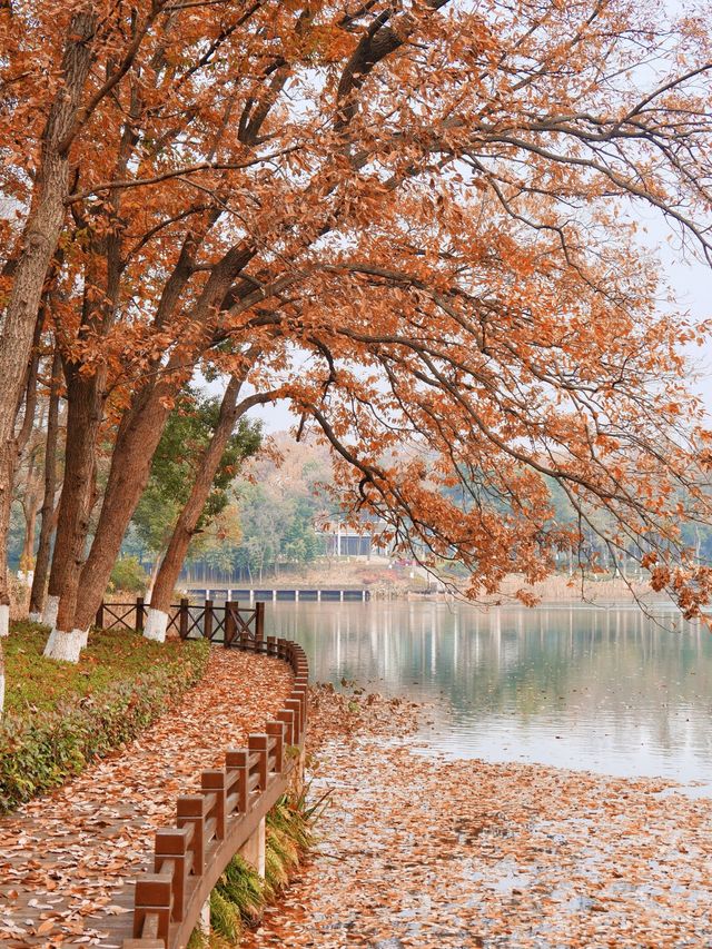 南京旅遊住宿攻略